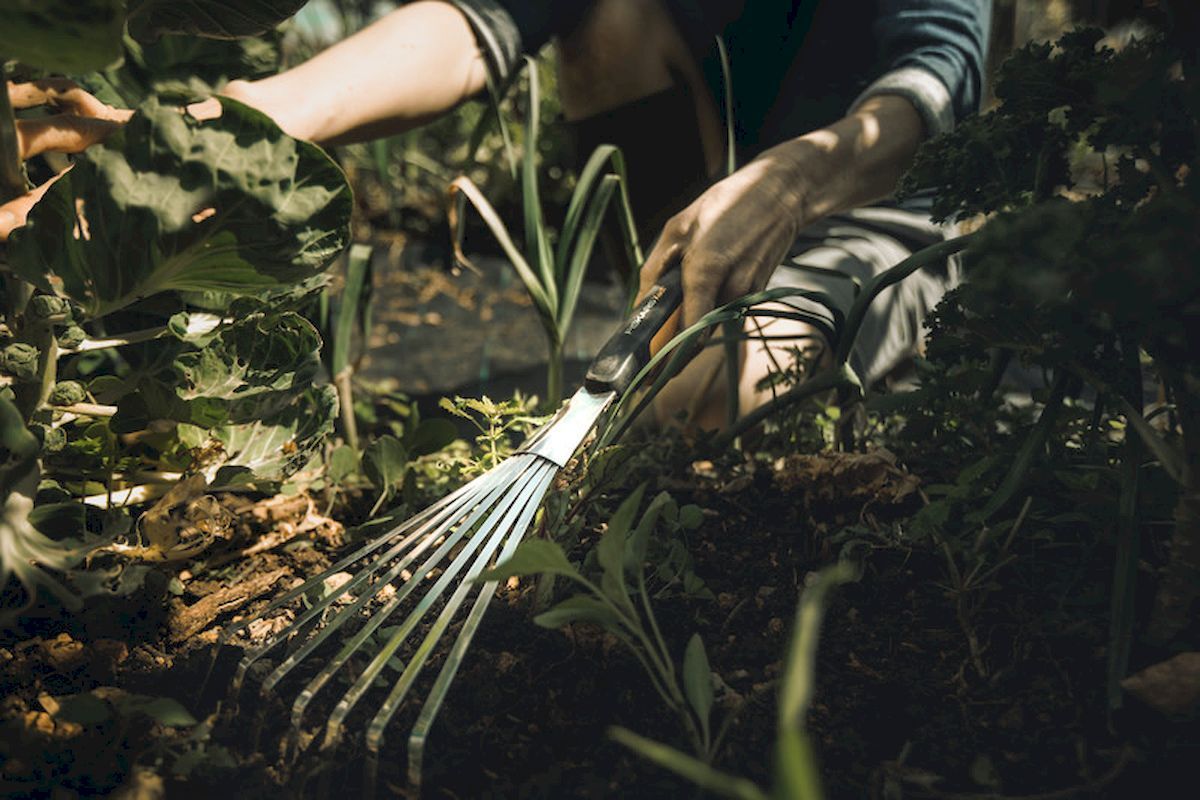 Fiskars Xact Handhark