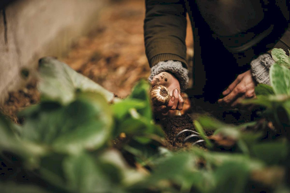 Fiskars Xact Handhark