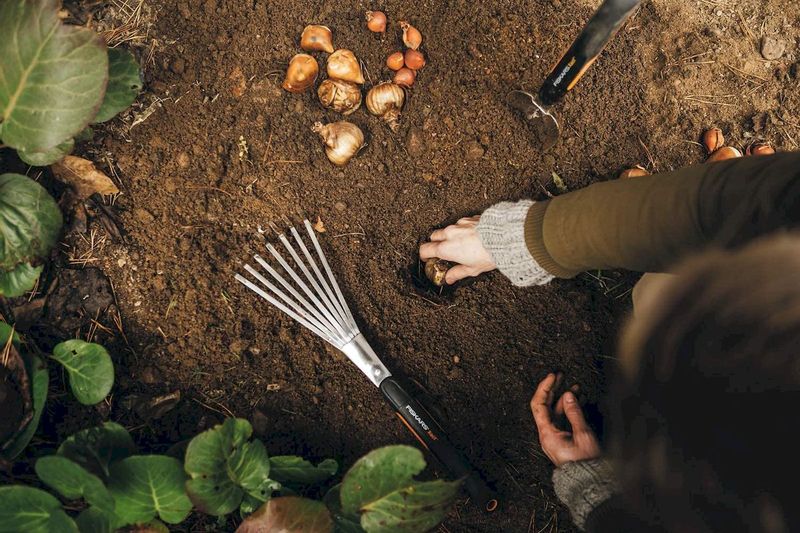 Fiskars Xact Handhark