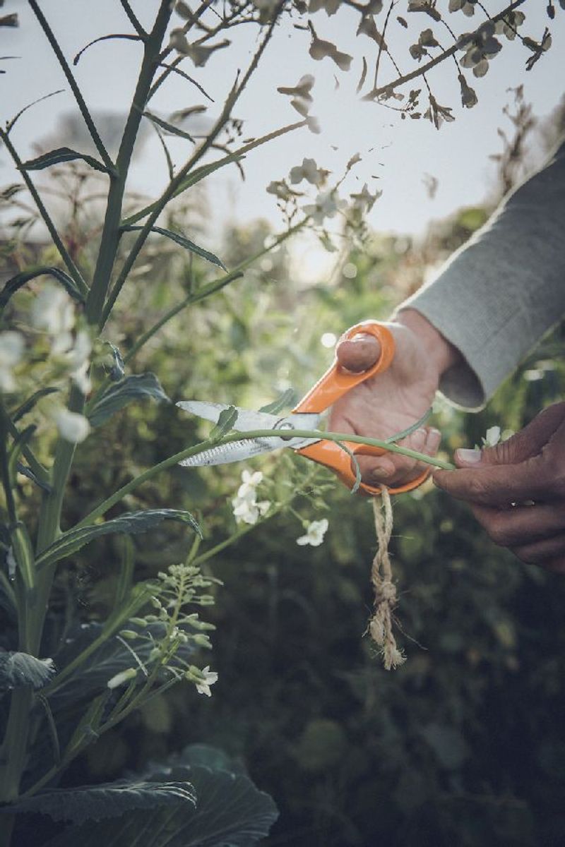 Fiskars Classic universele schaar 18 cm in gebruik