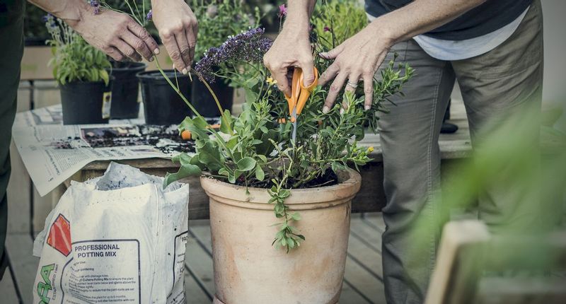 Fiskars Classic universele schaar 18 cm in gebruik