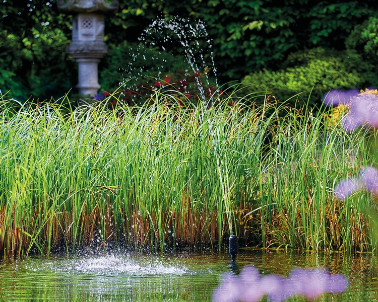 Oase Aquarius Fountain set Classic 3000 E