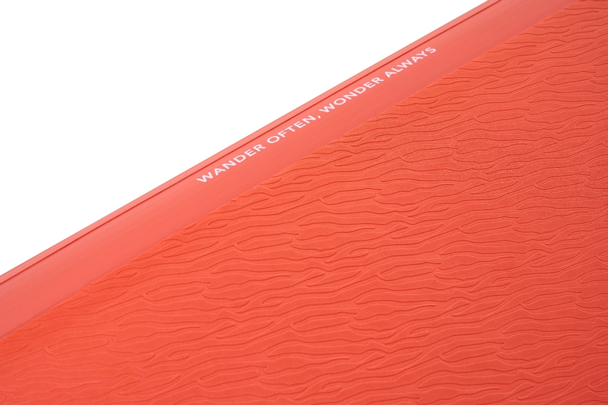 Aqua Marina Monster opblaasbaar supboard set 