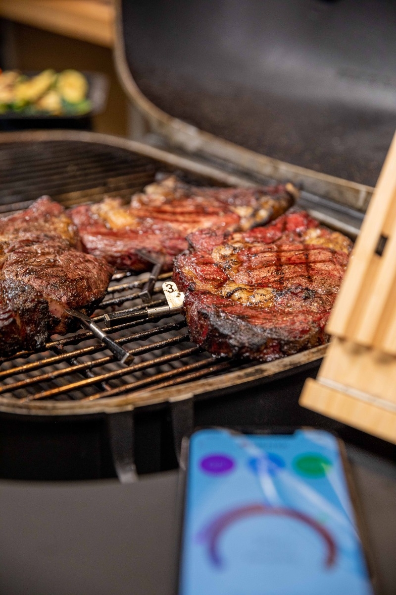 MEATER block met 4 draadloze thermometers