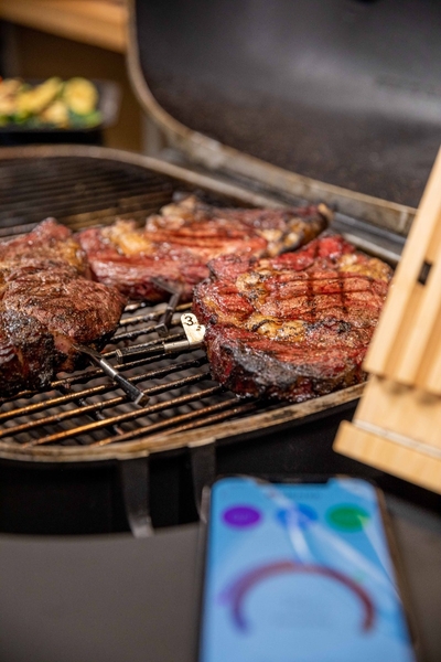 MEATER block met 4 draadloze thermometers