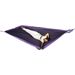 Ticket to the Moon hangmat 2 persoons Original Double - Navy Blue/Purple