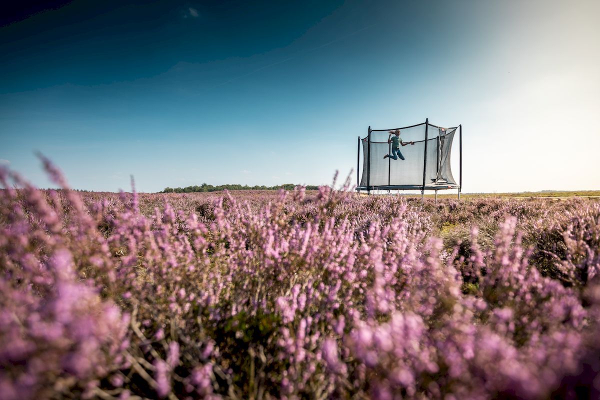 BERG Favorit Regular trampoline met net - Ø 200 cm - Grijs