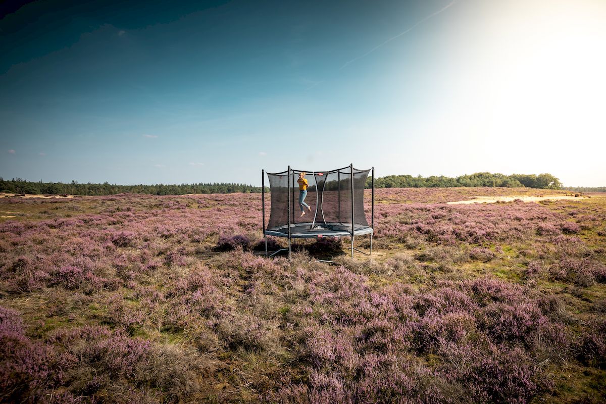BERG Favorit Regular trampoline met net - Ø 200 cm - Grijs