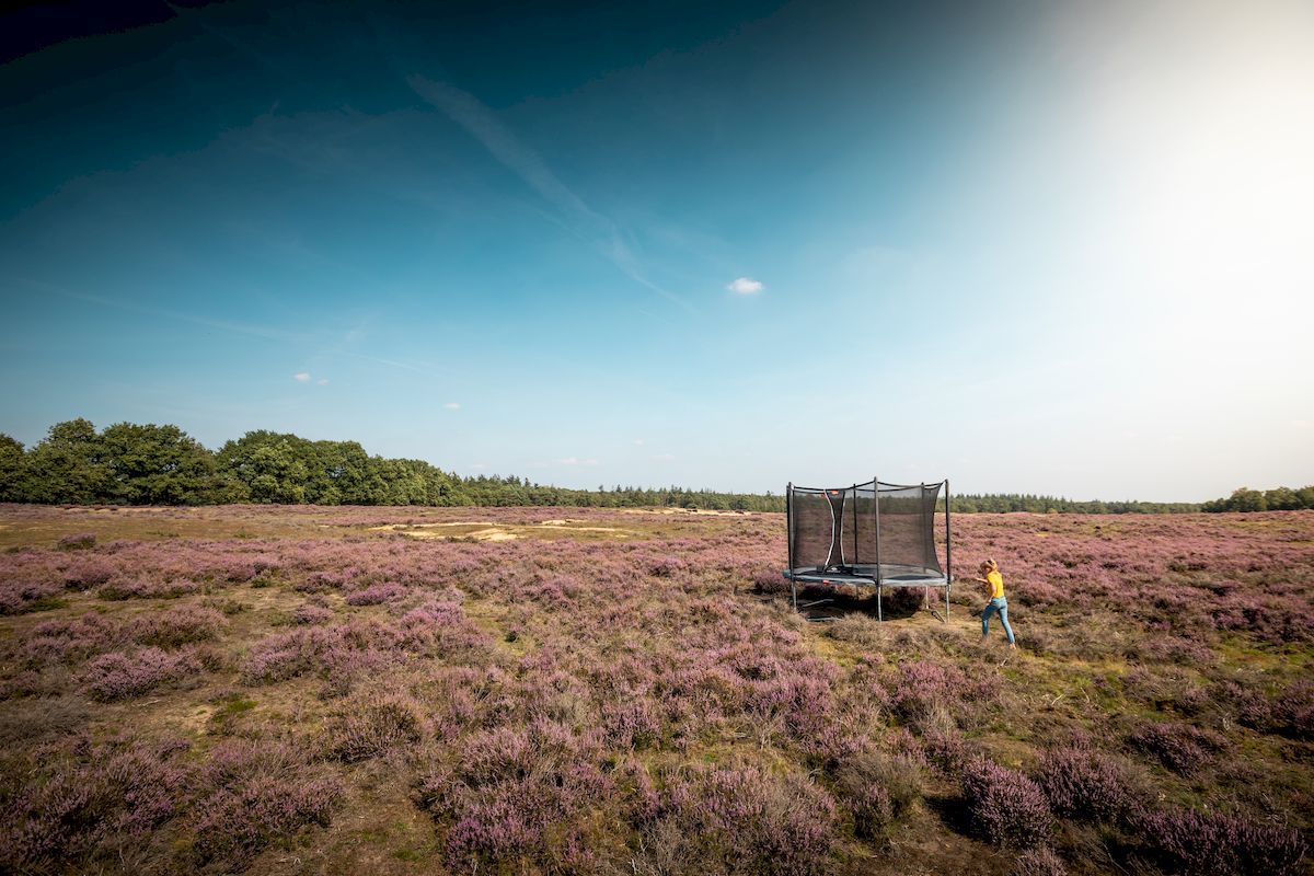 BERG Favorit Regular trampoline met net - Ø 330 cm - Grijs