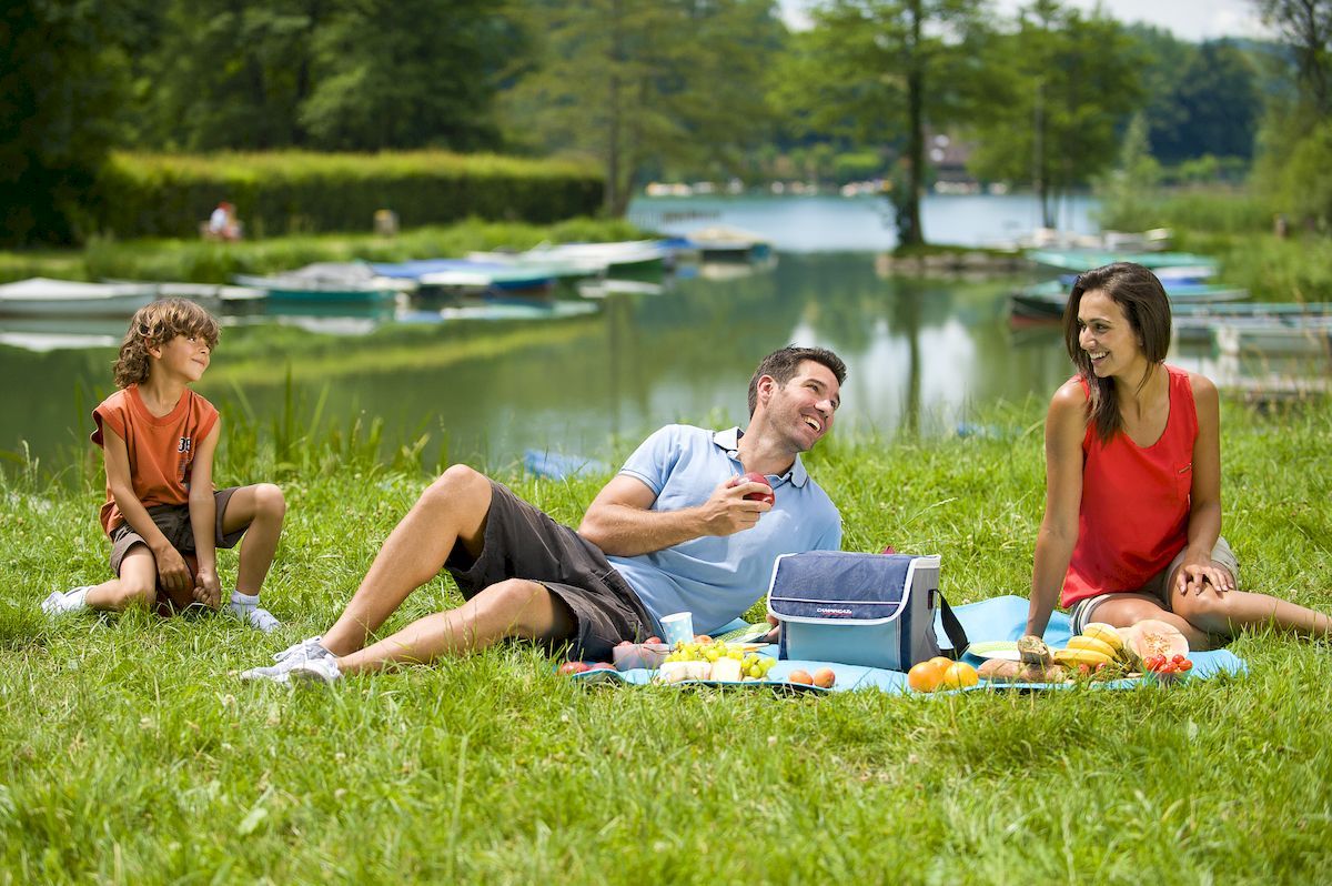 Campingaz Fold 'N Cool koeltas - 10 liter