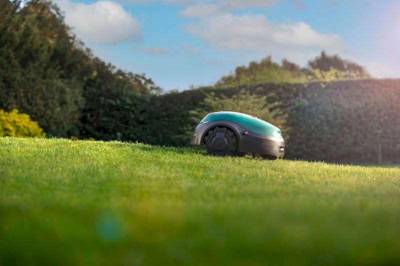 Robomow RT300 robotmaaier in tuin