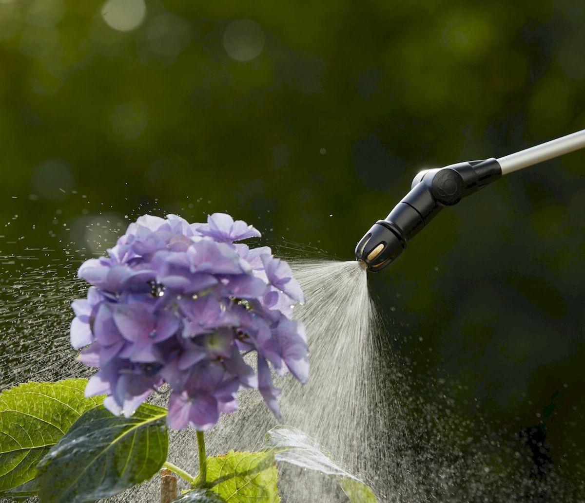 Gardena Easypump drukspuit 5 l, bloem besproeien