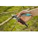 Gardena ExpertCut bypass snoeischaar, tak knippen