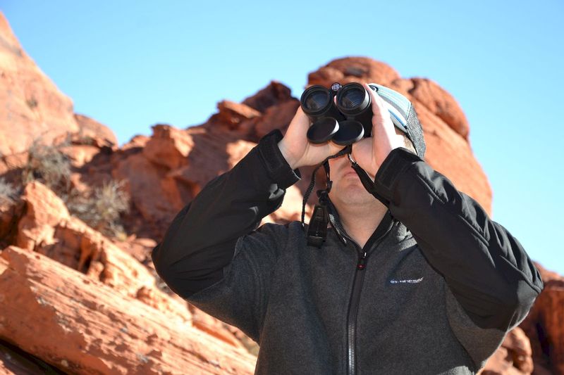 Bresser Corvette 8x42 verrekijker - sfeershot