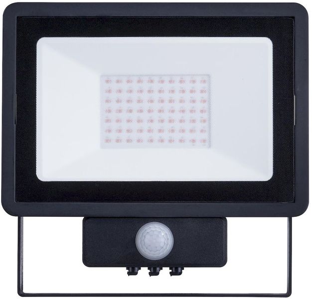 Philips Decoflood schijnwerper - 50 W voorkant