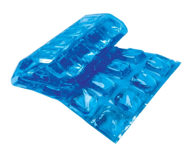 Igloo Maxcold Ice Sheet