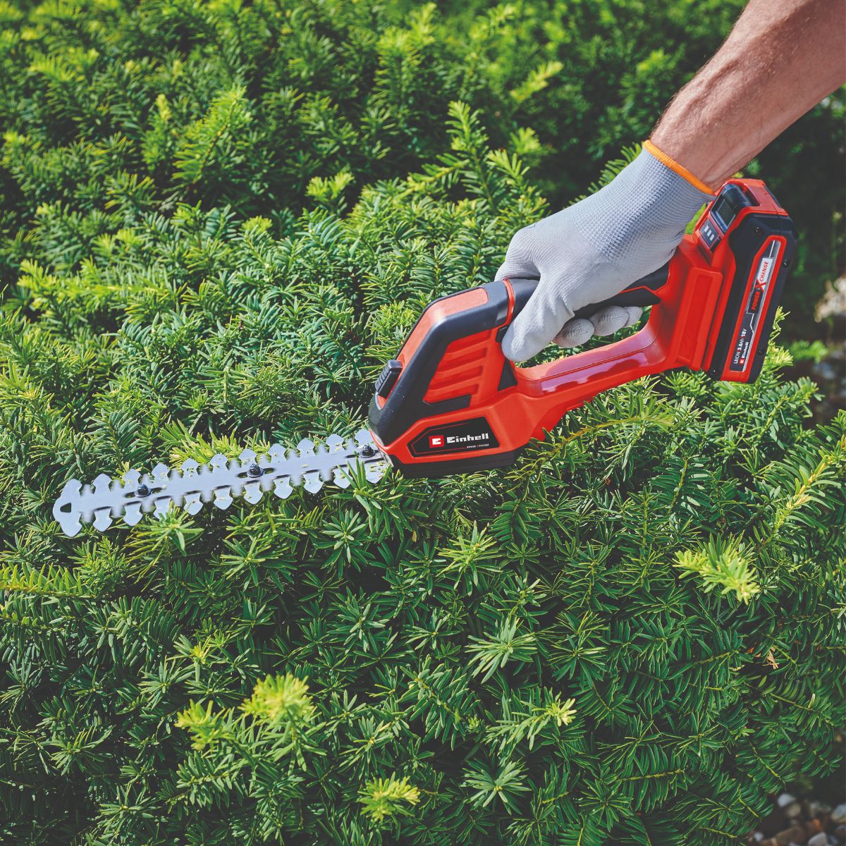 Einhell GE-CG 18/100 Accu  heggenschaar solo