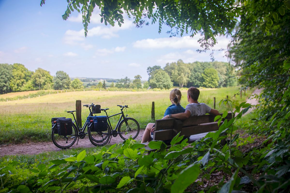 New Looxs Vigo dubbele fietstas - 37 liter - Zwart