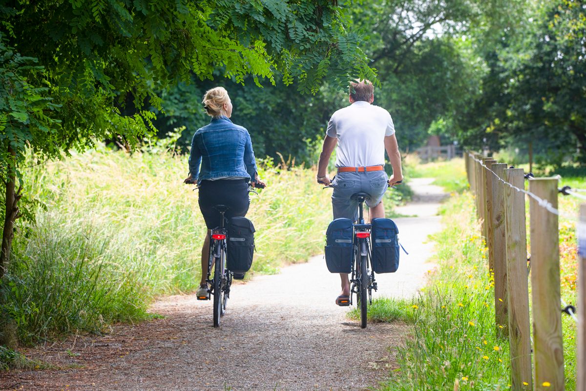 New Looxs Vigo dubbele fietstas - 37 liter - Zwart