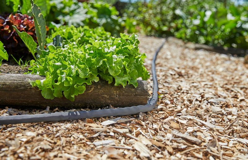 Gardena textielslang Liano™ set 10 m sfeerbeeld