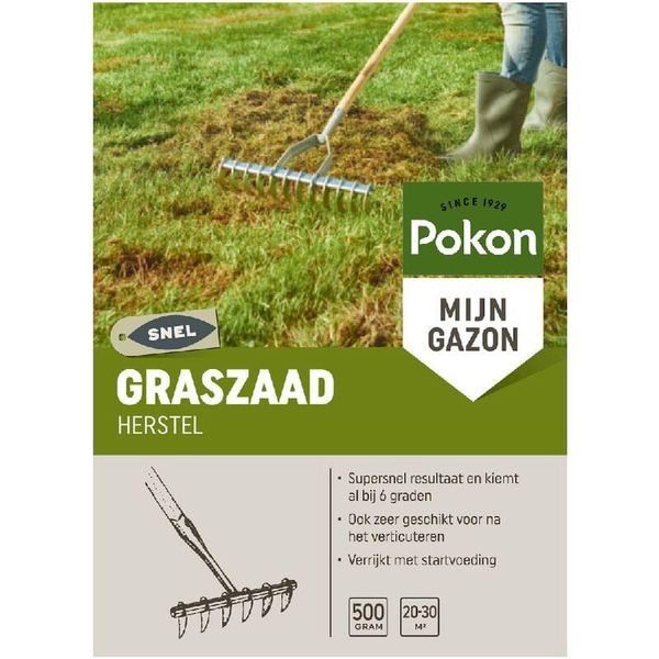 Pokon graszaad herstel
