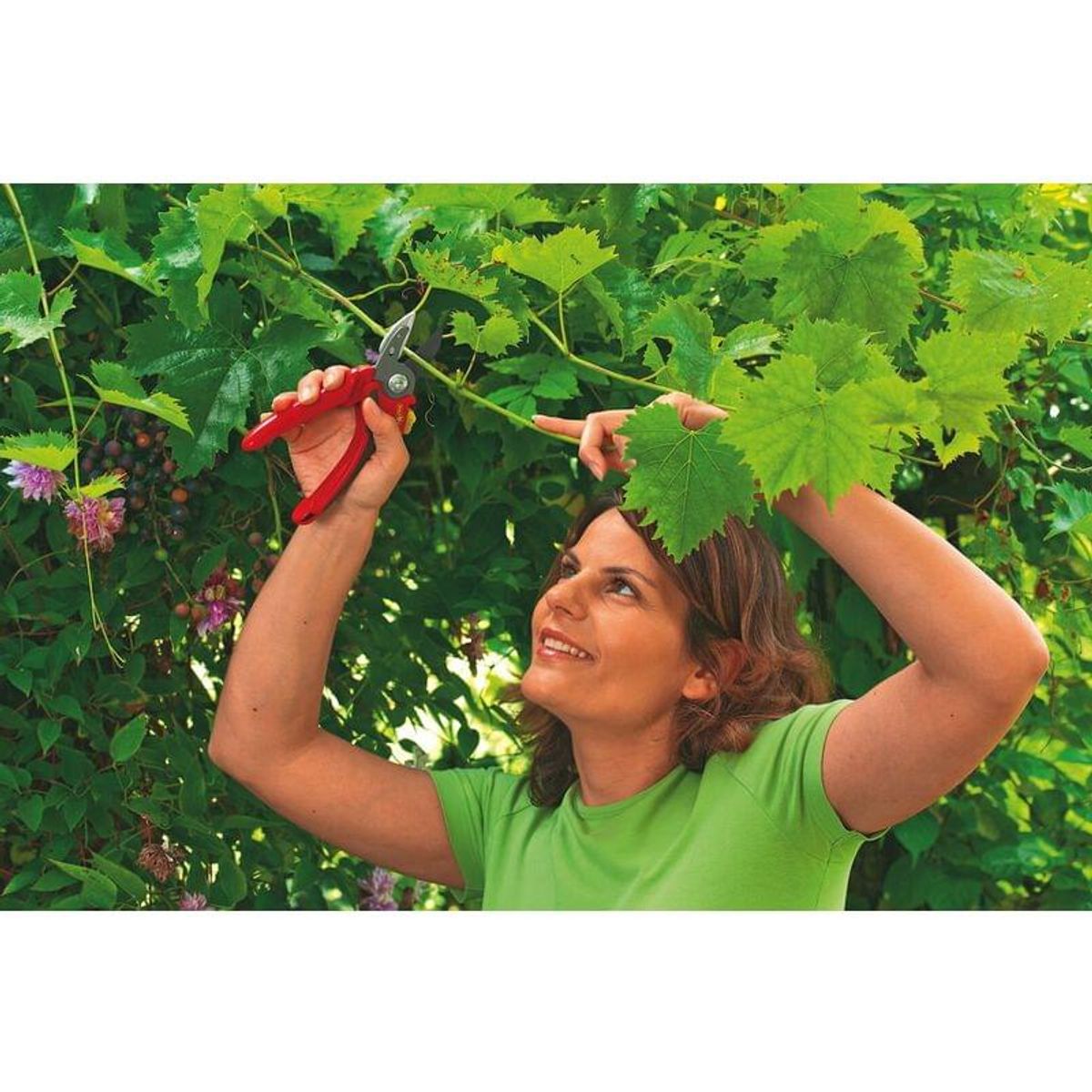 Wolf-Garten snoeischaren set met handschoenen - snoeischaar in gebruik