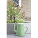 Xala Lungo gieter 8 liter - Groen, sfeerfoto