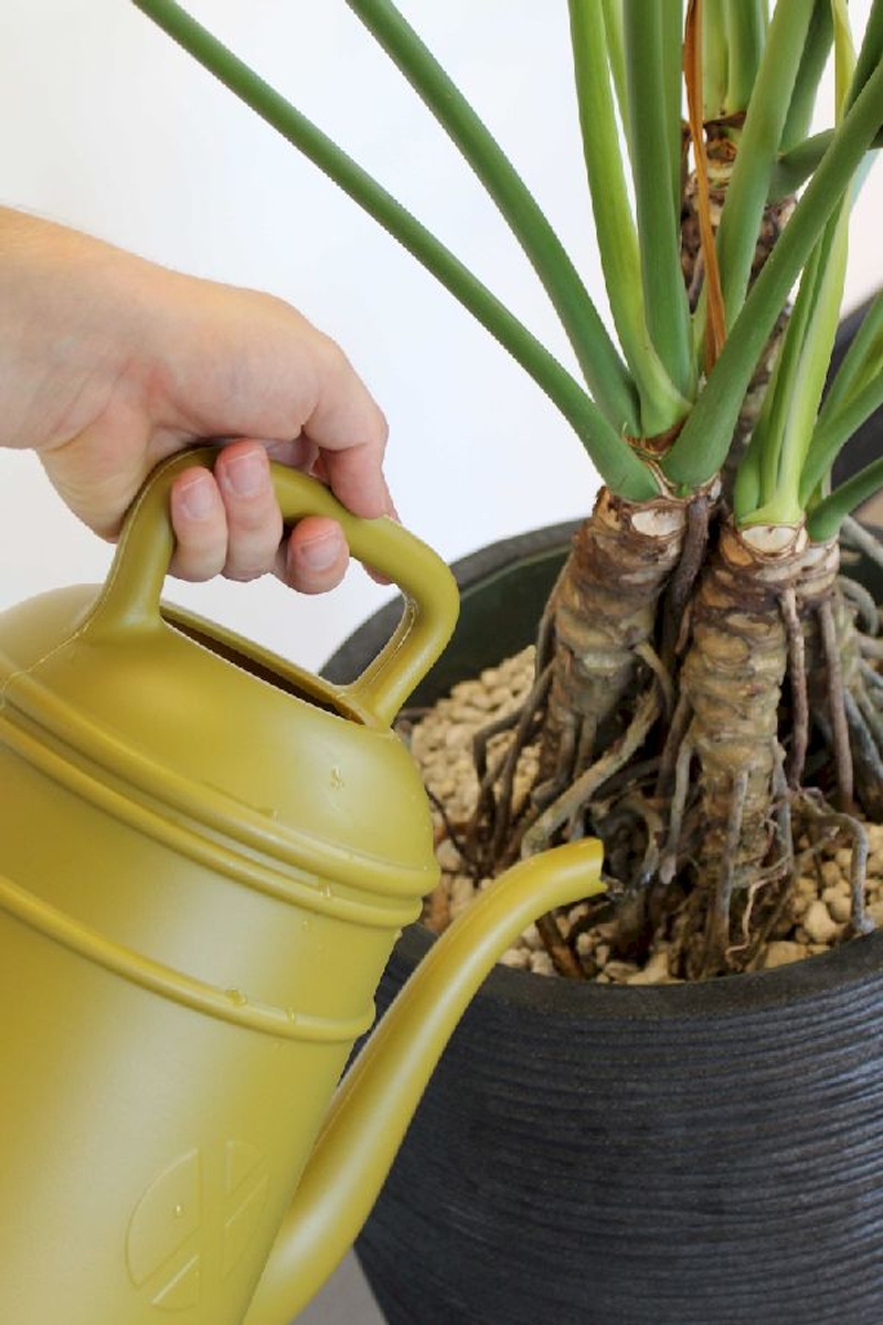 Xala Lungo gieter 8 liter - Geel, sfeerfoto 1