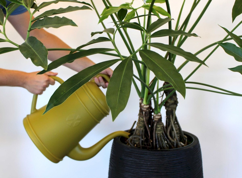 Xala Lungo gieter 8 liter - Geel, sfeerfoto 2