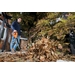 Black+Decker GWC1820PC-QW accu bladblazer blaast de bladeren weg