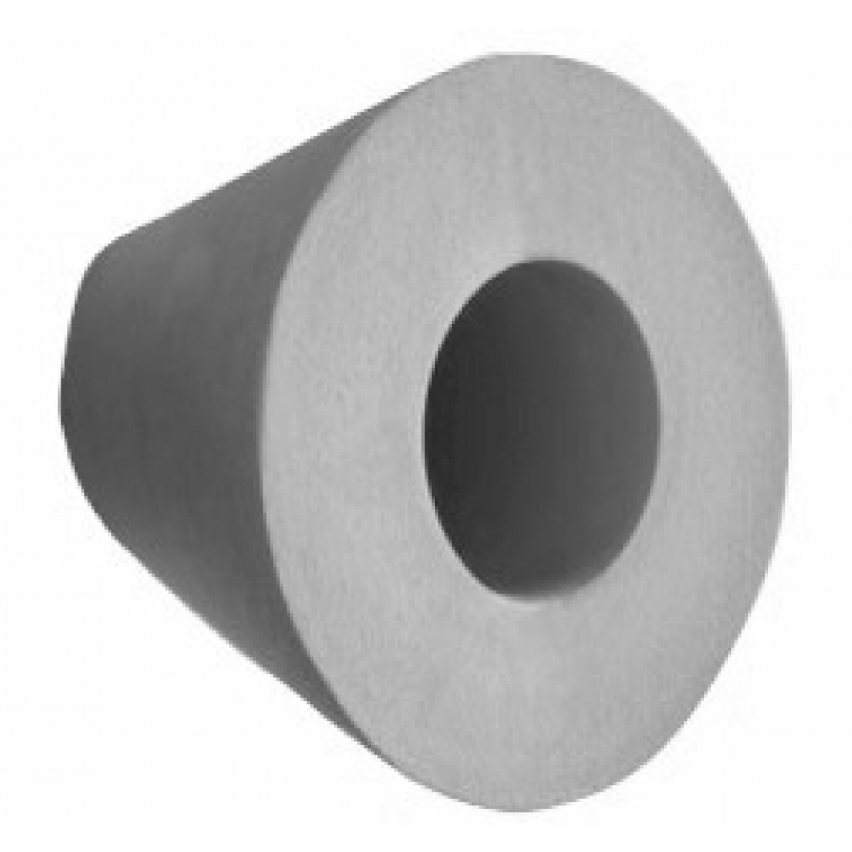 Wonderborstel voor BWT D-lijn zwembadrobot