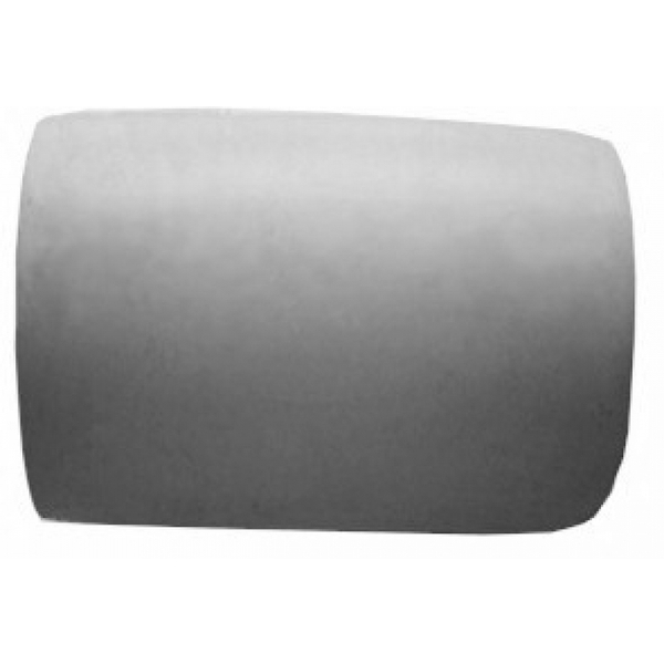 Wonderborstel voor BWT D-lijn zwembadrobot