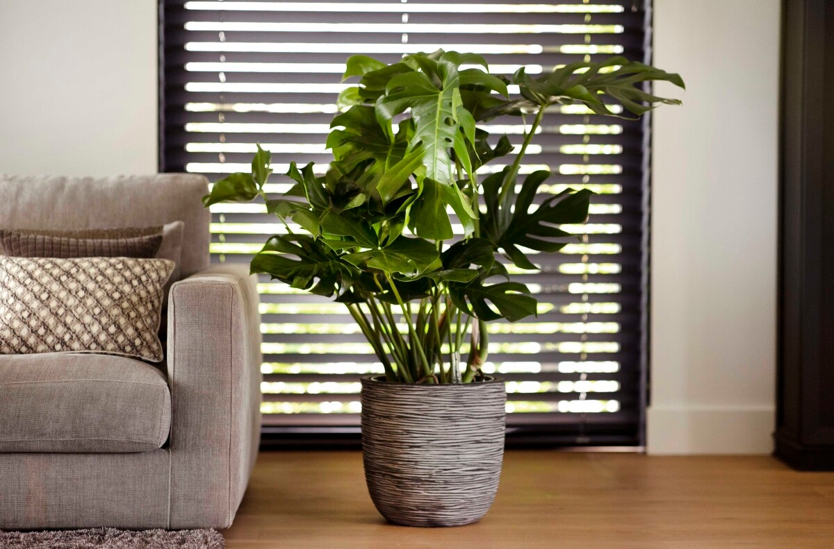 Capi Nature Rib bloempot bol - 35 cm - antraciet