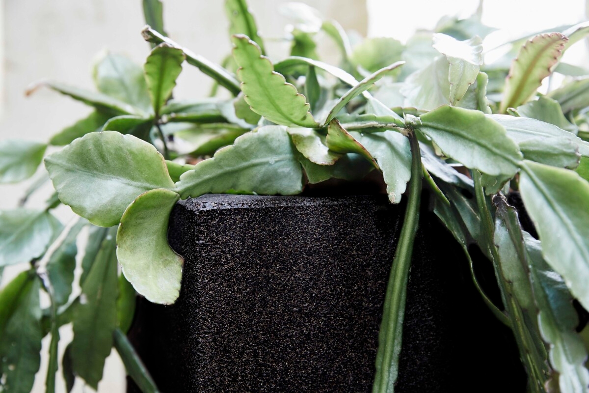 Capi Urban Smooth Bloempot vierkant - 40 cm - Zwart