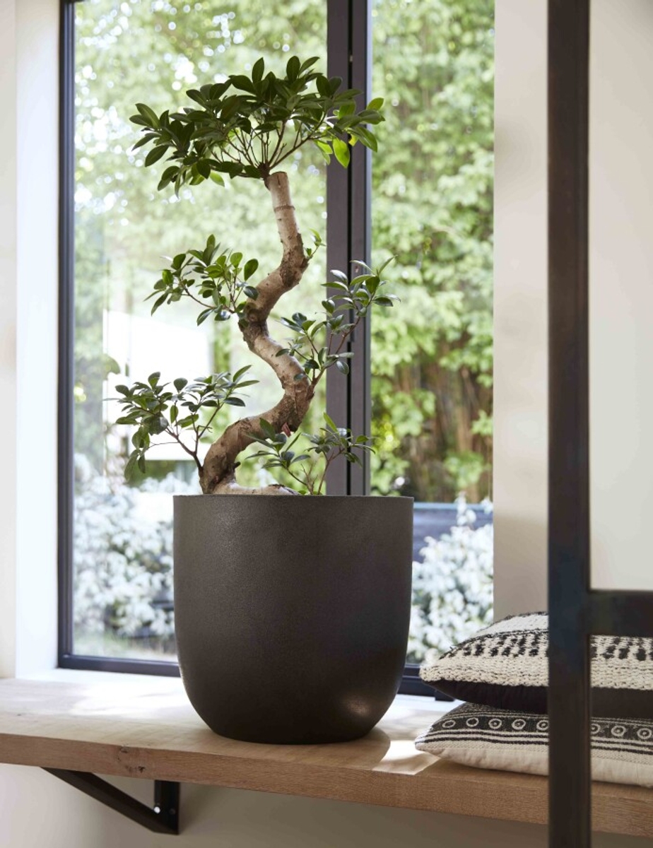 Capi Urban Smooth Bloempot bol - 35 cm - zwart