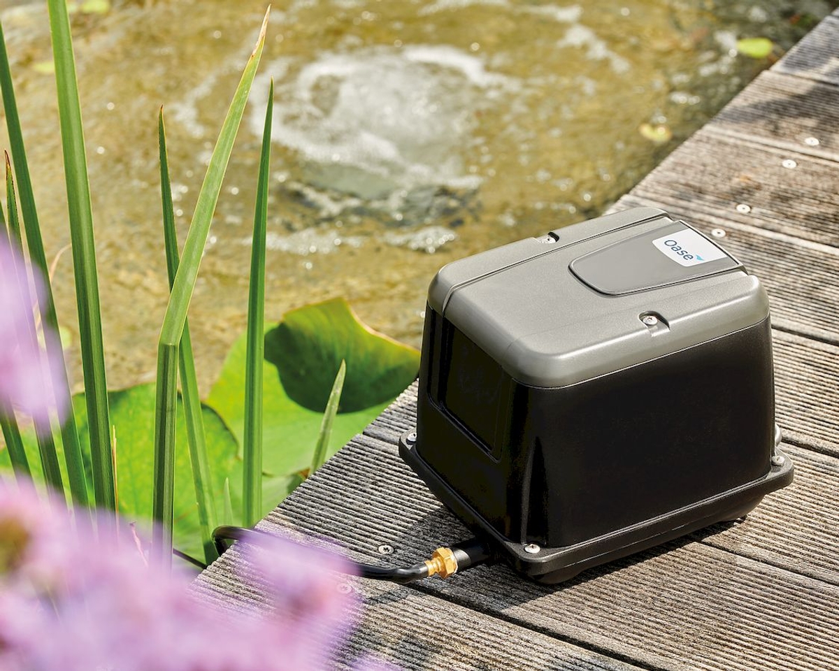 Oase AquaOxy 7500 luchtpomp bij vijver