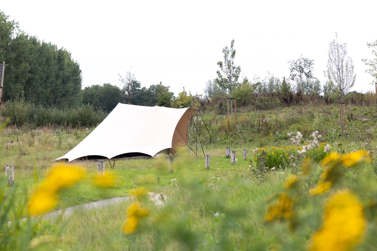 ESVO Bedouin 280 piramidetent - 3-4 persoons
