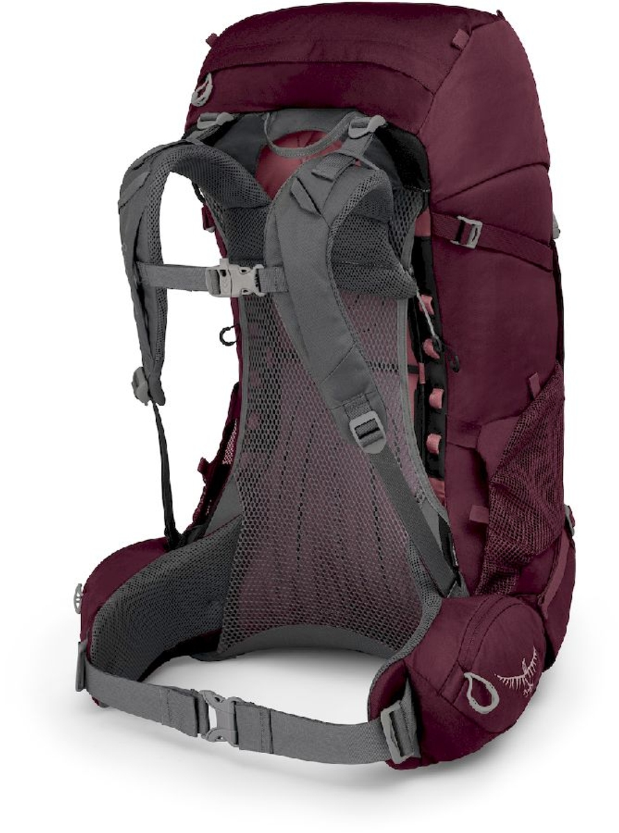 Osprey Renn rugzak 50L - paars