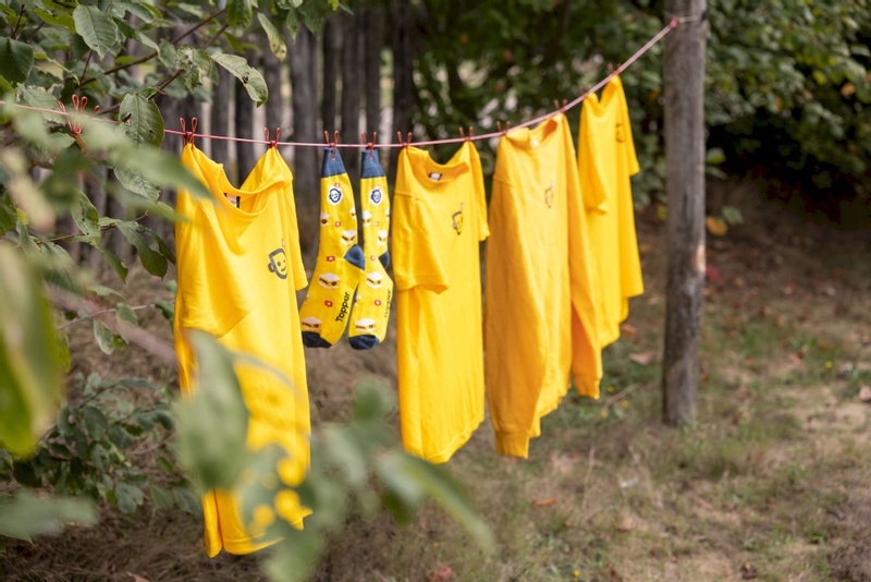 Easy Camp Spirit 300 tunneltent - 3 persoons - Groen