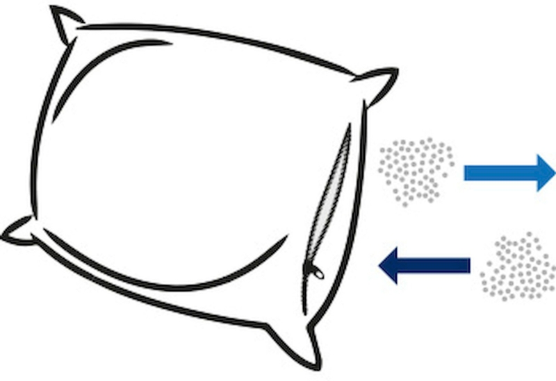 Polydaun Frisk 800 hoofdkussen - Wit
