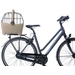 Basil Buddy MIK hondenfietsmand