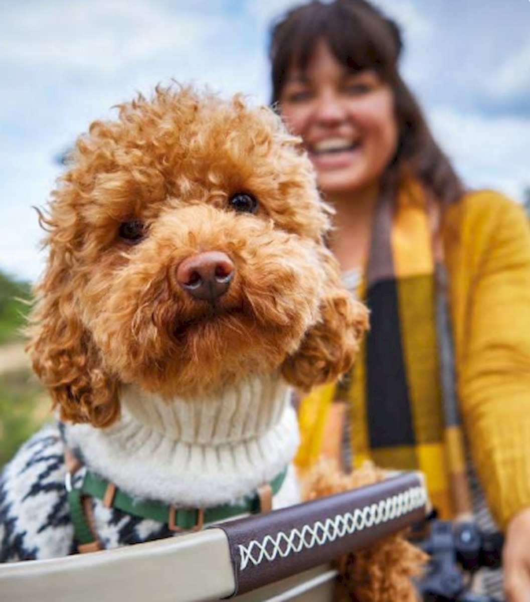 Basil Buddy hondenfietsmand - Voorop - Zand