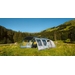 Coleman Meadowood Long Tunneltent 