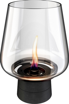 Tenderflame Amaryllis 25 tafelhaard - Zwart