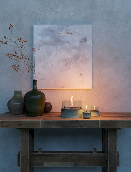 Tenderflame Aster 10 tafelhaard - Groen