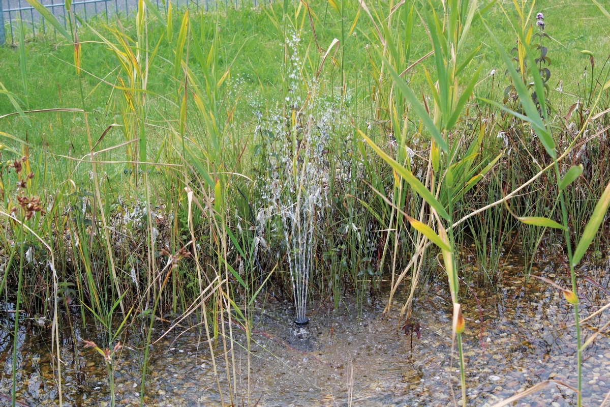 Pontec PondoSolar 600 Control solar fonteinpomp