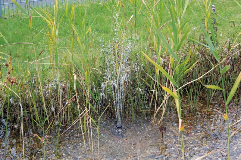 Pontec PondoSolar 600 Control solar fonteinpomp