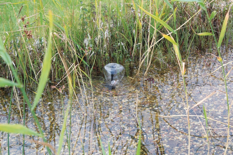 Pontec PondoSolar 600 Control solar fonteinpomp