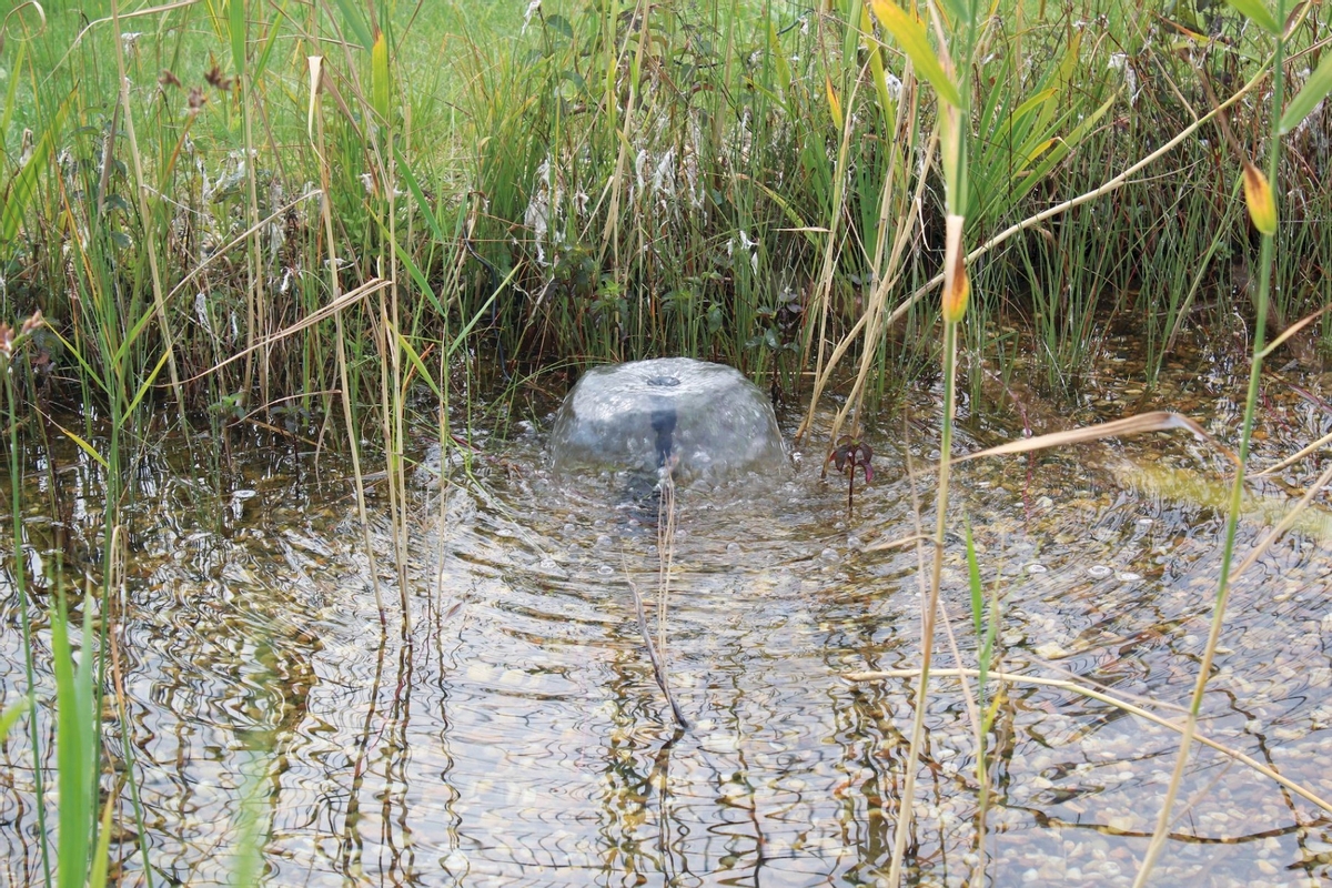 Pontec PondoSolar 1600 solar fonteinpomp