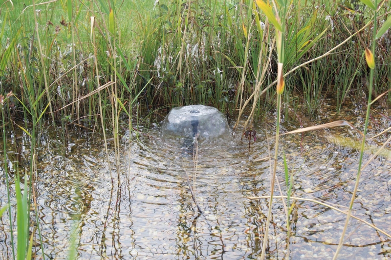 Pontec PondoSolar 1600 solar fonteinpomp